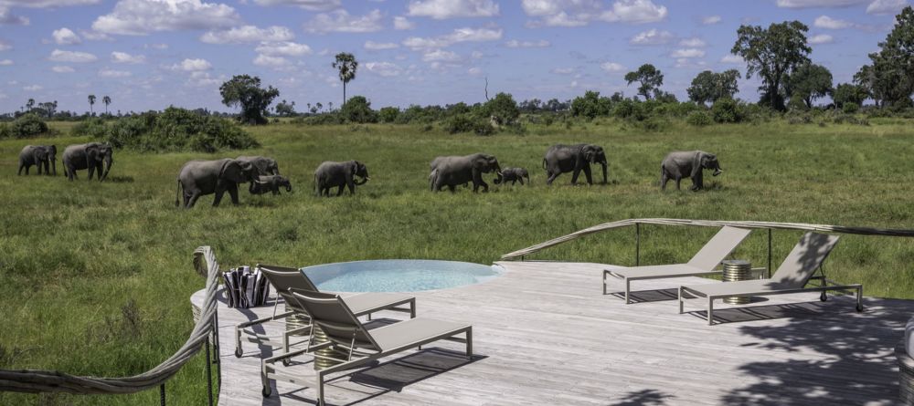 Pool at Little Mombo, Moremi Camp Reserve, Botswana (Dana Allen) - Image 9