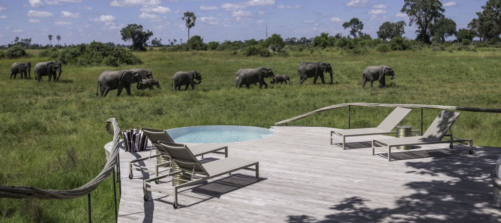 Pool at Little Mombo, Moremi Camp Reserve, Botswana (Mike Myers) - Image 8