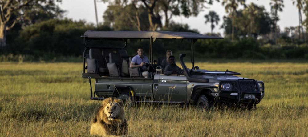 Game drive with lions - Image 1