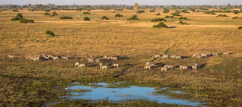 Mombo Camp, Moremi Game Reserve, Botswana - Image 8