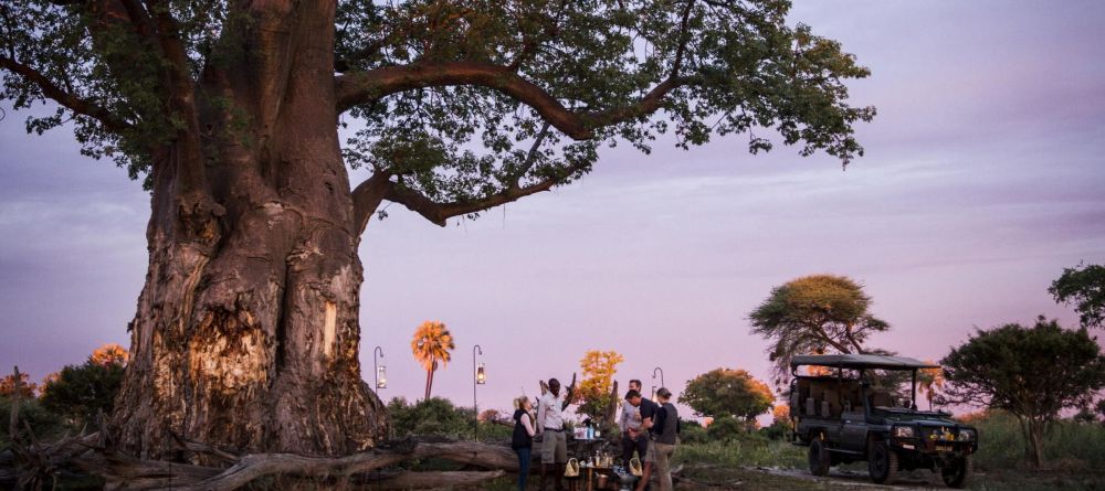 Mombo Camp, Moremi Game Reserve, Botswana - Image 14