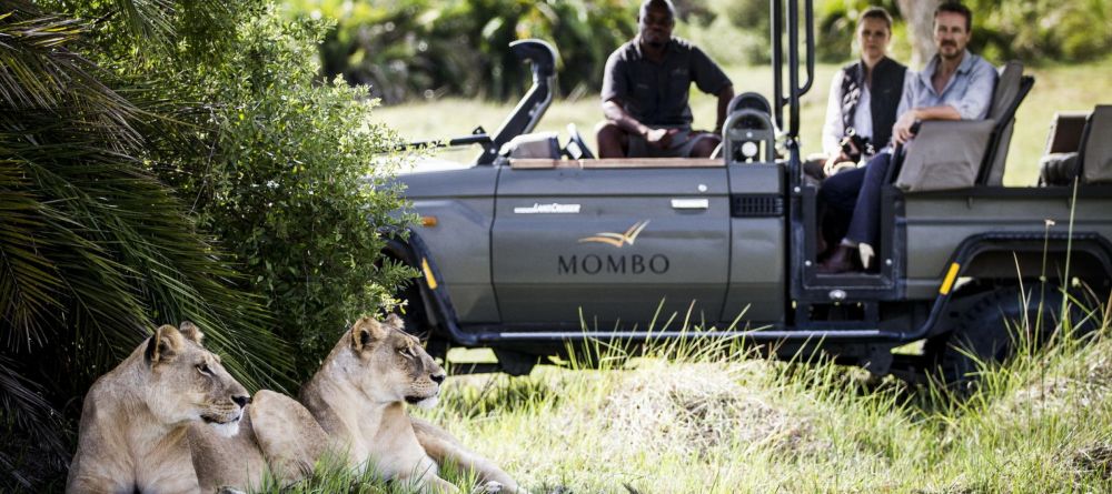 Mombo Camp, Moremi Game Reserve, Botswana - Image 12