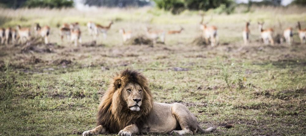 Mombo Camp, Moremi Game Reserve, Botswana - Image 2