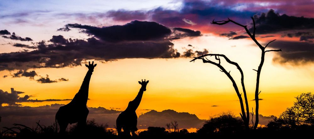 Mombo Camp, Moremi Game Reserve, Botswana - Image 1