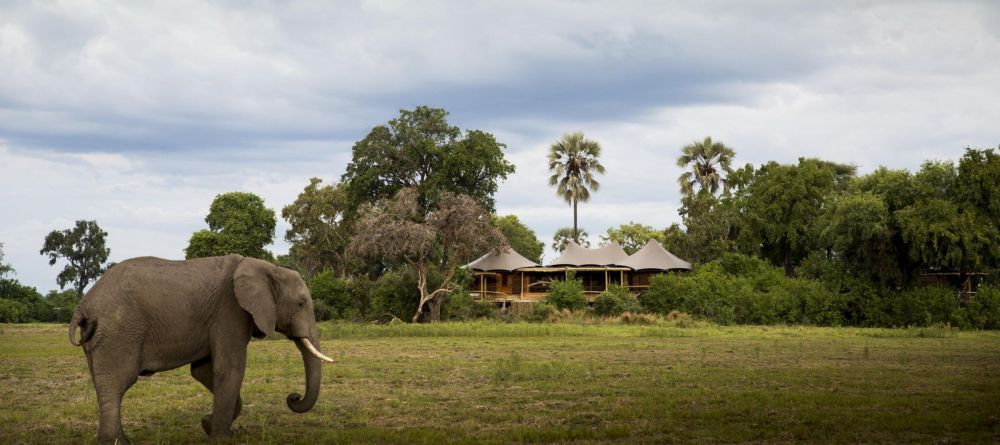 Mombo Camp, Moremi Game Reserve, Botswana - Image 23