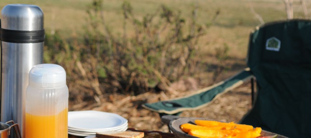 Mwagusi Camp, Ruaha National Park, Tanzania - Image 7