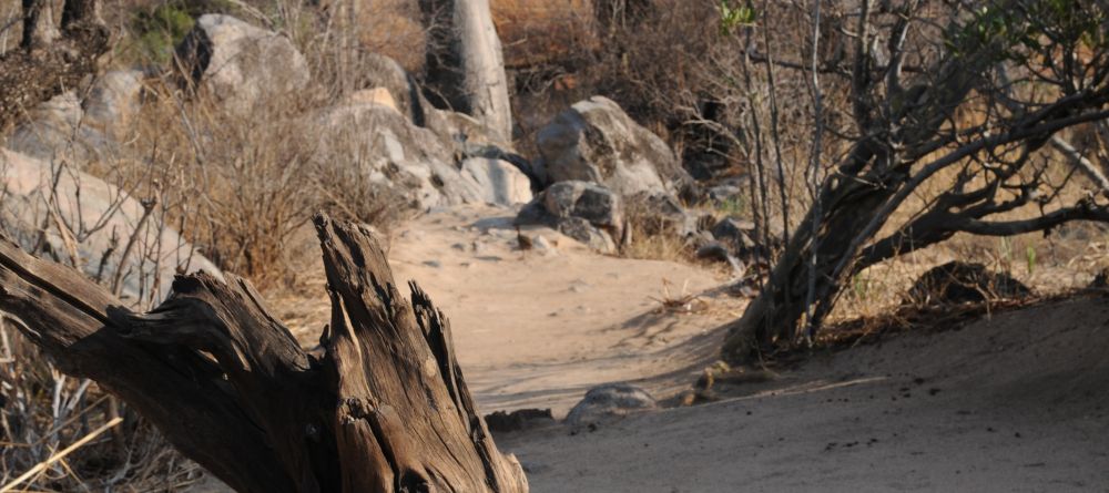 Mwagusi Camp, Ruaha National Park, Tanzania - Image 2