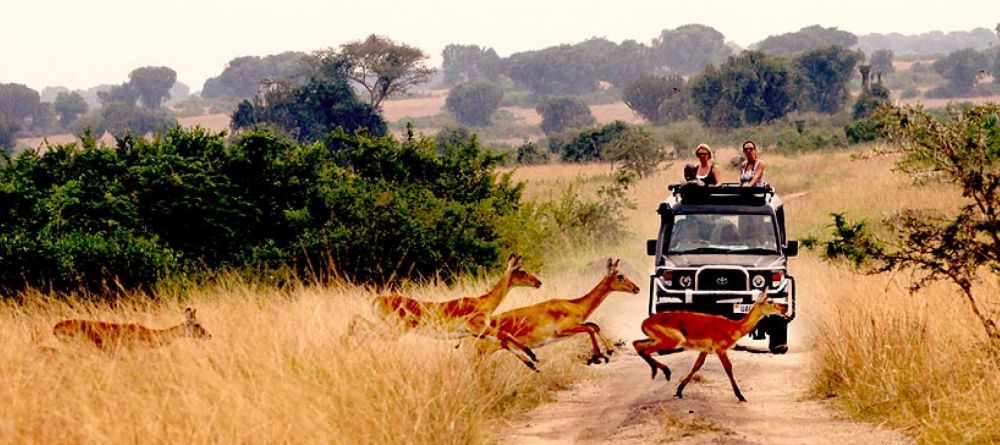 Mweya Safari Lodge, Queen Elizabeth National Park, Uganda - Image 3