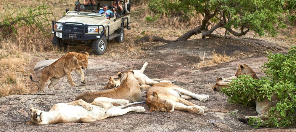 Mwiba Lodge, Serengeti National Park, Tanzania - Image 27