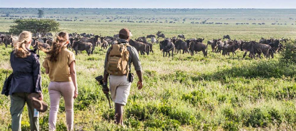 Mwiba Lodge, Serengeti National Park, Tanzania - Image 16