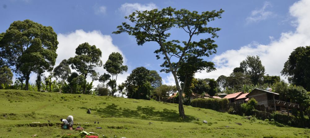 Mbahe Village Farm Cottages, Marangu, Tanzania - Image 4