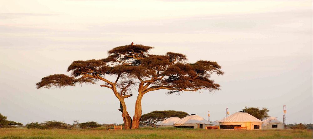 Nduara Loliondo Camp, Serengeti National Park, Tanzania - Image 6