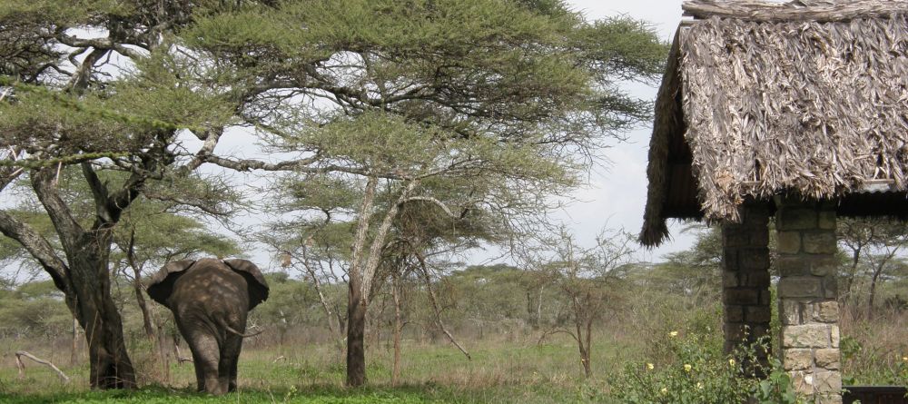 Ndutu Safari Lodge, Serengeti National Park, Tanzania - Image 14