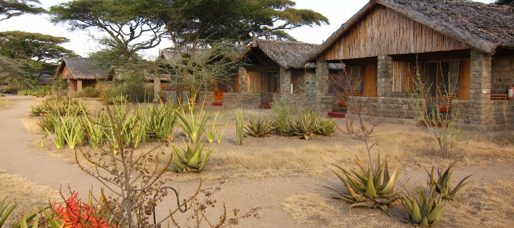 Ndutu Safari Lodge, Serengeti National Park, Tanzania - Image 15