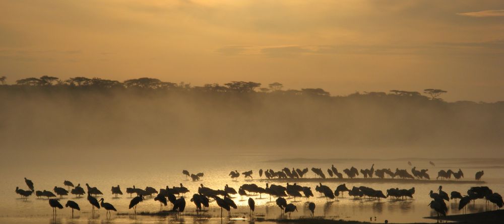 Ndutu Safari Lodge, Serengeti National Park, Tanzania - Image 1