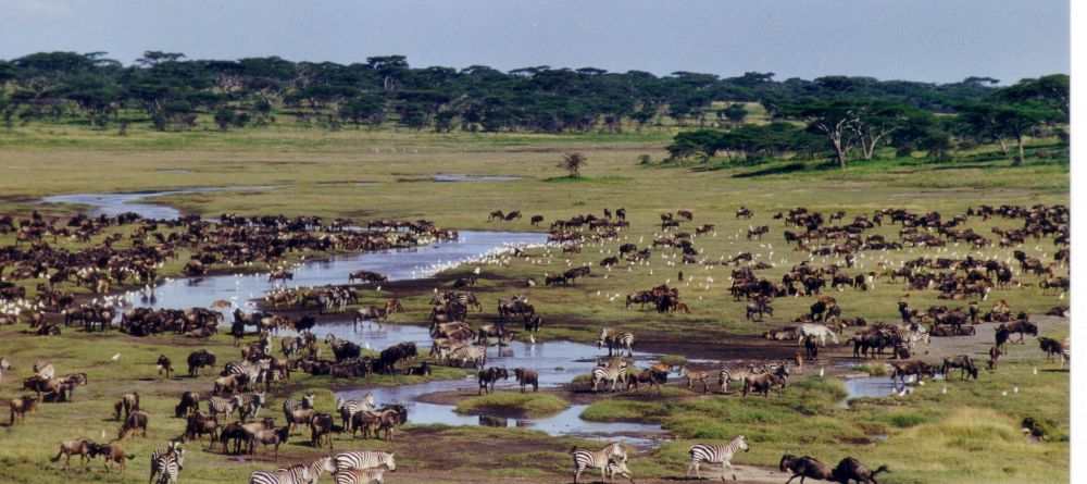 Ndutu Safari Lodge, Serengeti National Park, Tanzania - Image 5