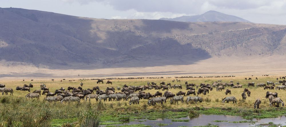 Entamanu Ngorongoro, Ngorongoro Crater, Tanzania - Image 17