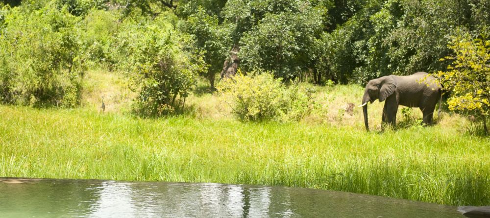 Nkwali Camp, South Luangwa National Park, Zambia - Image 7