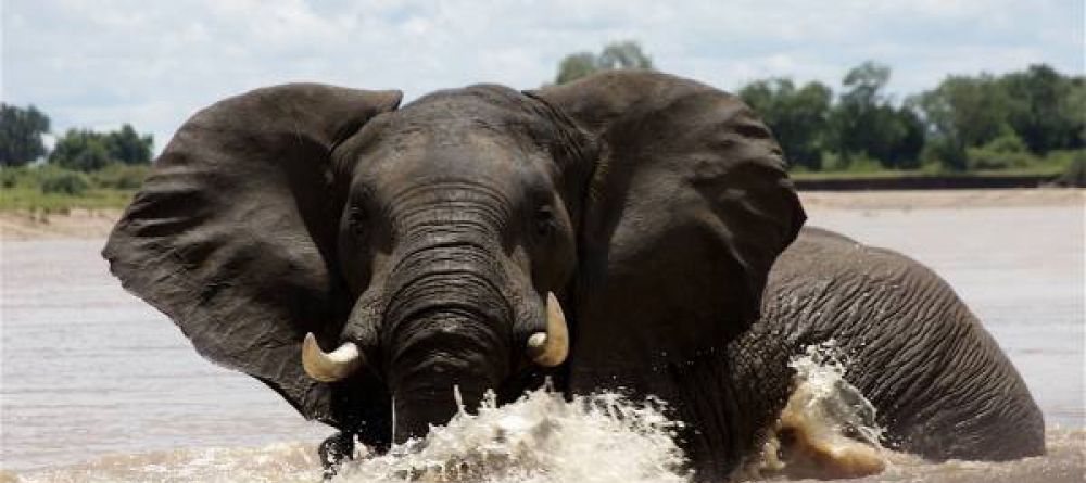 Chongwe River House, Lower Zambezi National Park, Zambia - Image 6