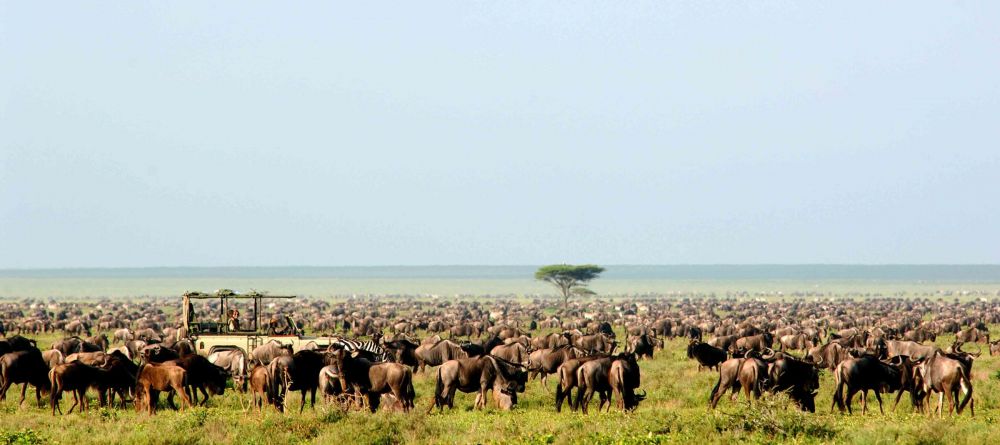 Nomad Seregenti Safari Camp, Serengeti National Park, Tanzania Â© Nomad Tanzania - Image 8