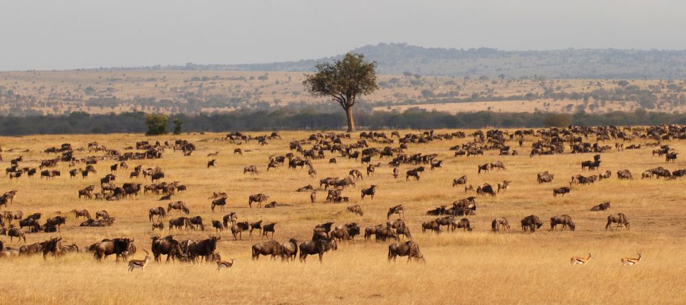 Nomad Seregenti Safari Camp, Serengeti National Park, Tanzania Â© Nomad Tanzania - Image 9