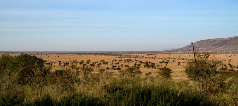 Nyikani Camp Central View - Image 5