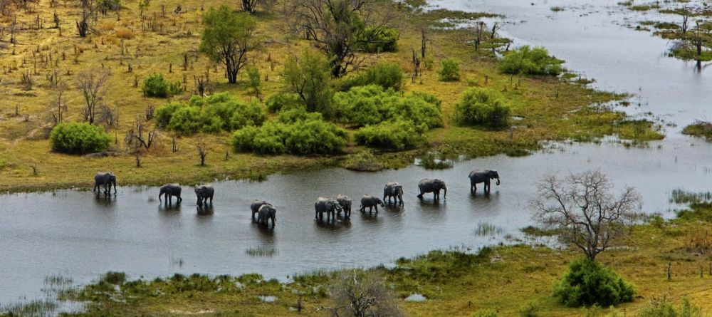 Okavango Explorers Camp  - Image 3