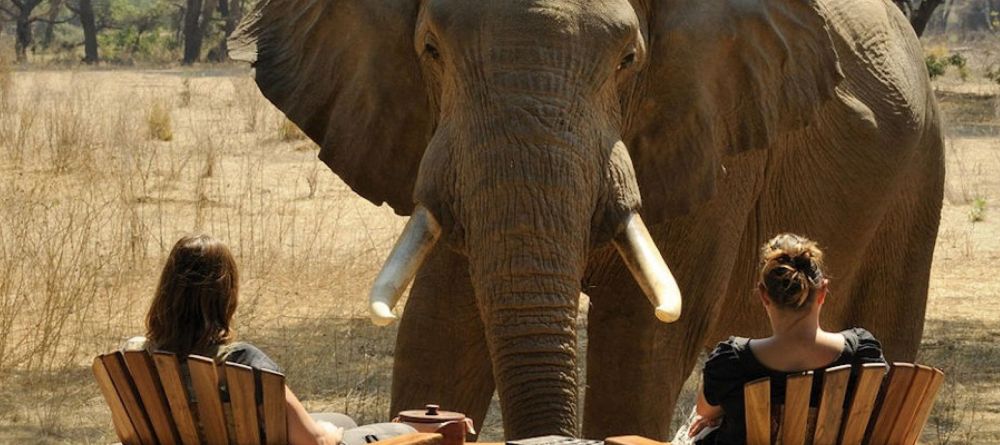 Old Mondoro, Lower Zambezi National Park, Zambia - Image 8