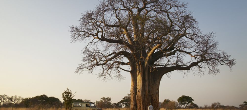 Olivers Camp, Tarangire National Park, Tanzania - Image 3