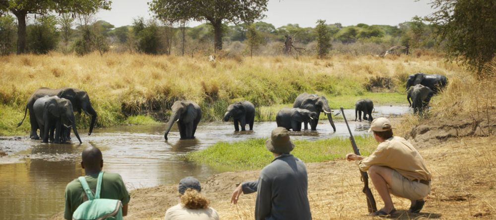 Olivers Camp, Tarangire National Park, Tanzania - Image 4