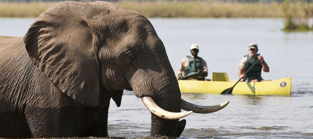 Potato Bush Camp, Lower Zambezi National Park, Zambia - Image 5