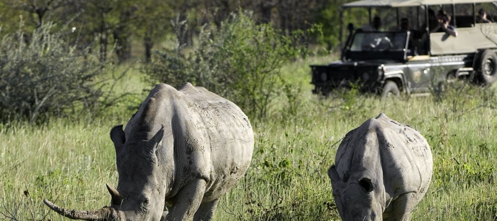 Ongava Lodge, Etosha National Park, Namibia Â© Dana Allen - Image 6