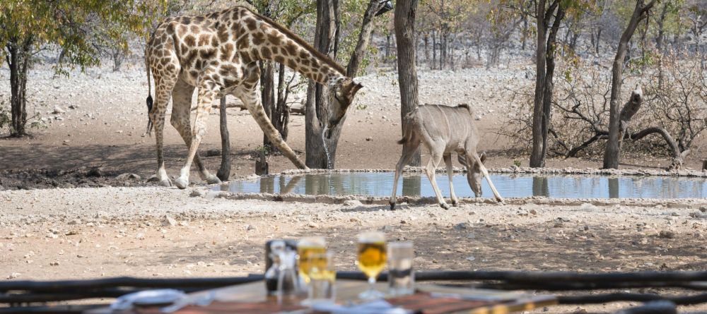 Ongava Tented Camp, Etosha National Park, Namibia - Image 21