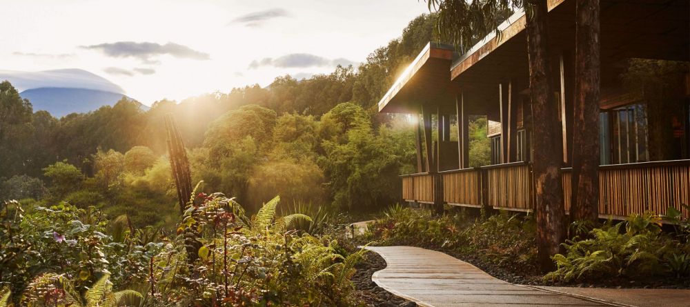 Nyungwe House, Nyungwe Forest, Rwanda - Image 10