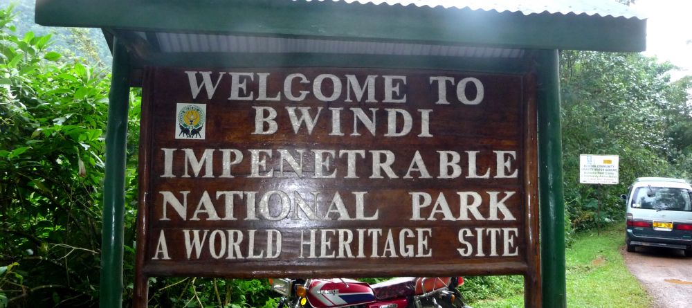 Entry to the Bwindi Impenetrable Forest at Buhoma Lodge Bwindi, Bwindi Impenetrable Forest, Uganda (Mango Staff photo) - Image 11