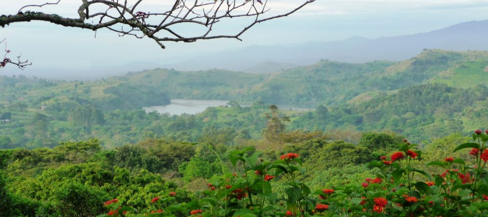 Beautiful surroundings at Ndali Lodge, Kibale Forest National Park, Uganda (Mango Staff photo) - Image 3