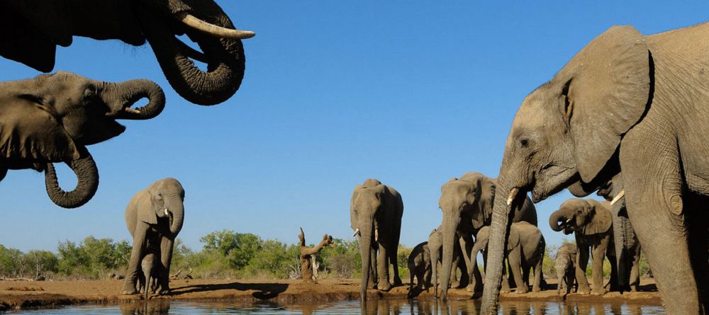 Mashatu Lodge, Mashatu Game Reserve, Botswana - Image 27