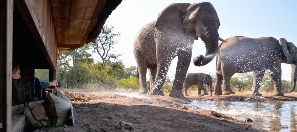 Mashatu Lodge, Mashatu Game Reserve, Botswana - Image 29