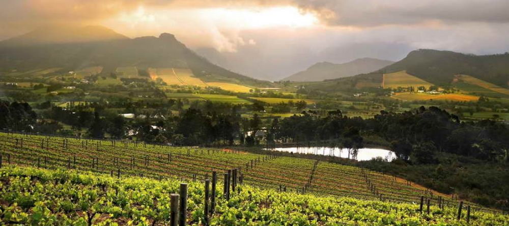 The vineyards and surrounding valley at La Petite Ferme, Franschhoek, South Africa - Image 6