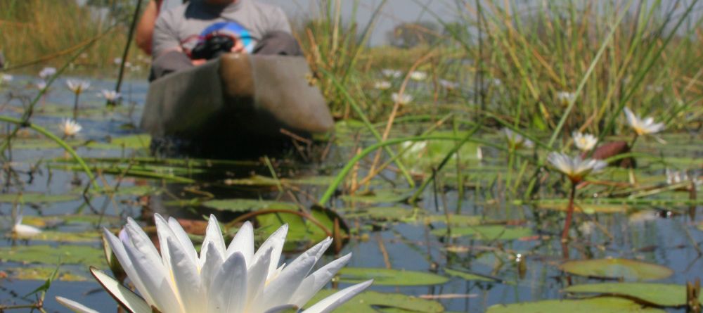 Pom Pom Camp, Okavango Delta, Botswana - Image 10