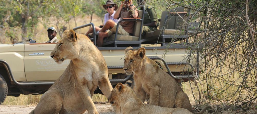 Potato Bush Camp, Lower Zambezi National Park, Zambia - Image 8