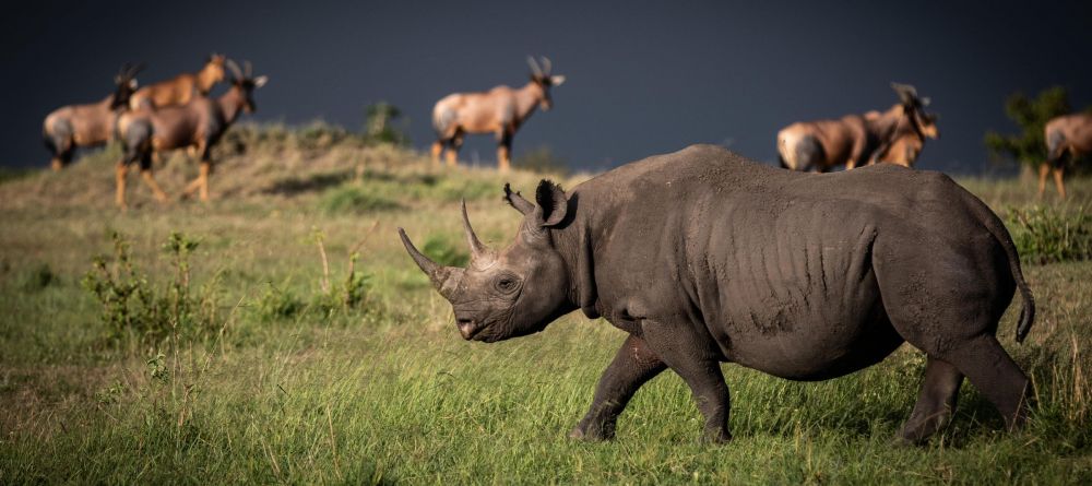 Lamai Serengeti, Serengeti National Park, Tanzania - Image 16