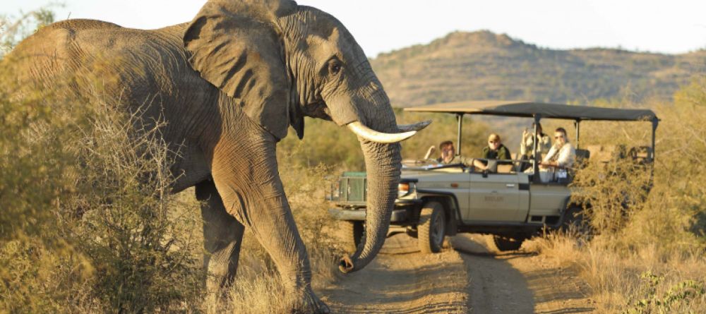 Rhulani Safari Lodge - Image 3