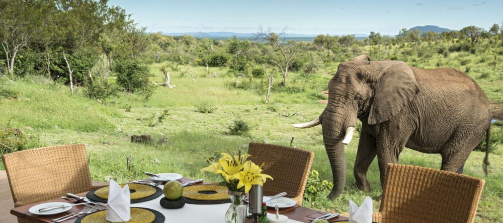 Royal Madikwe, Madikwe Game Reserve, South Africa - Image 1