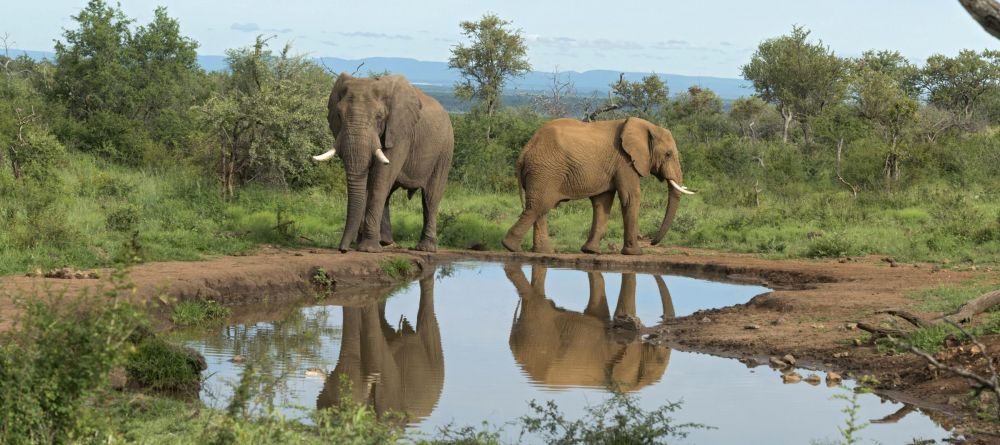 Royal Madikwe, Madikwe Game Reserve, South Africa - Image 7