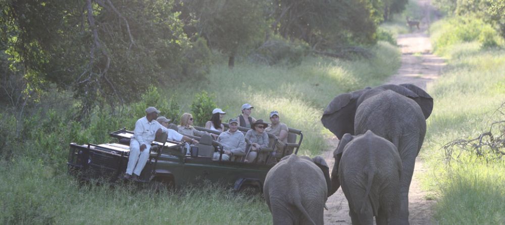 A trio of elephants pass by the game drive vehicle at Royal Malewane, Kruger National Park, South Africa - Image 6