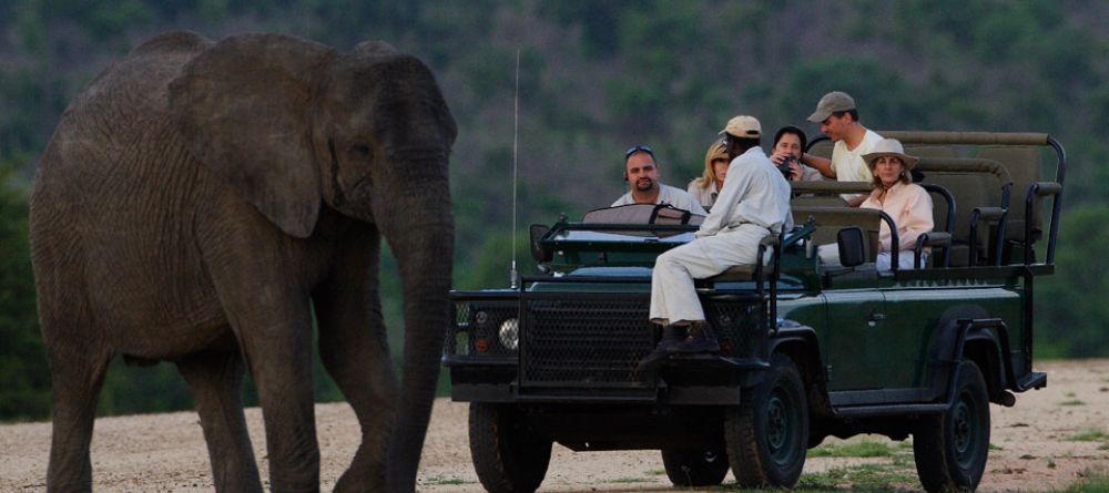 Meeting an elephant during a game drive at Royal Malewane, Kruger National Park, South Africa - Image 4