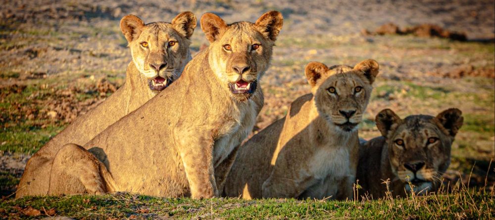 Royal Zambezi Lodge, Lower Zambezi National Park, Zambia - Image 12