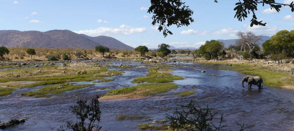 Ruaha River Lodge  - Image 10