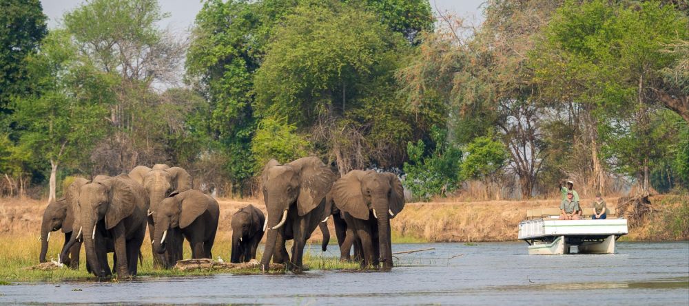 Ruckomechi Camp, Mana Pools National Park, Zimbabwe - Image 14